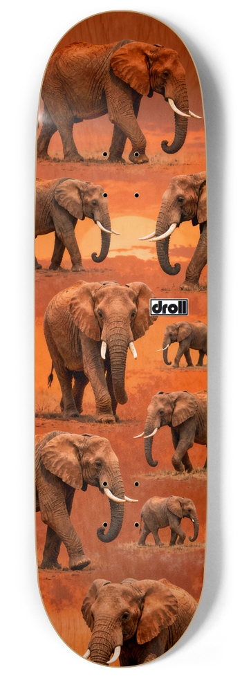 Elephants at Sunset