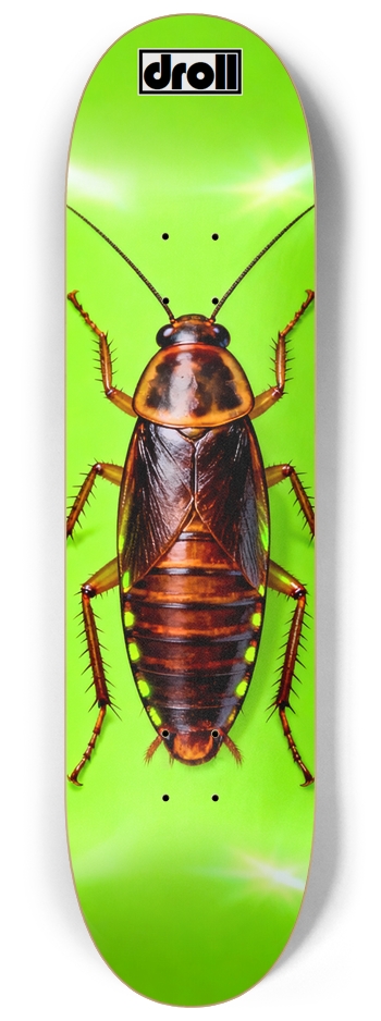 Cockroach on Neon Green