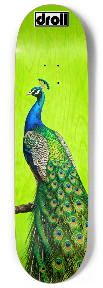 Peacock on Neon Green Woodgrain