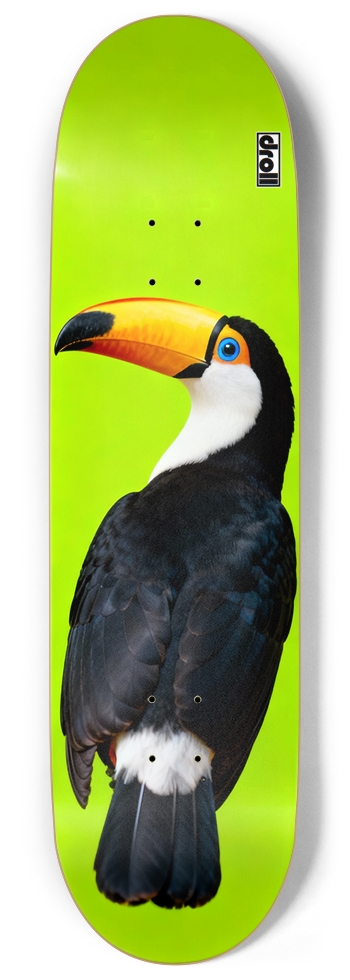 Toucan on Neon Green