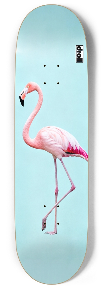 Flamingo on Powder Blue