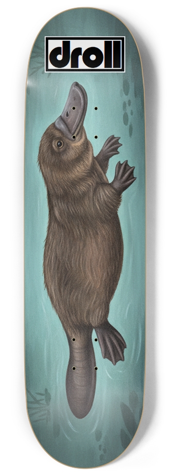 Platypus on Teal