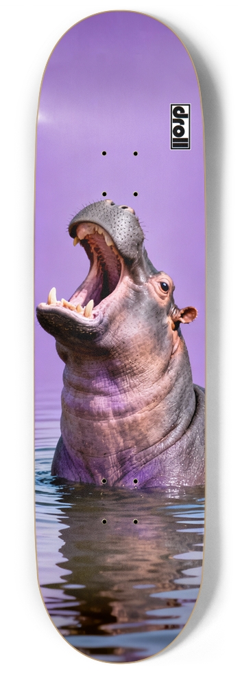 Hippo on Purple
