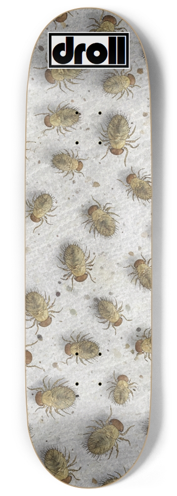 Dust Mites on Silver
