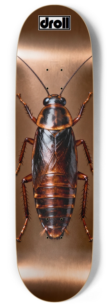 Cockroach on Bronze