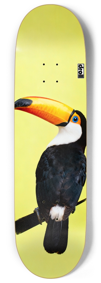 Toucan on Yellow