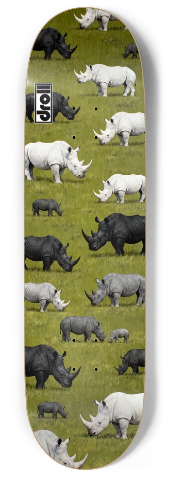 Rhinos in Meadow