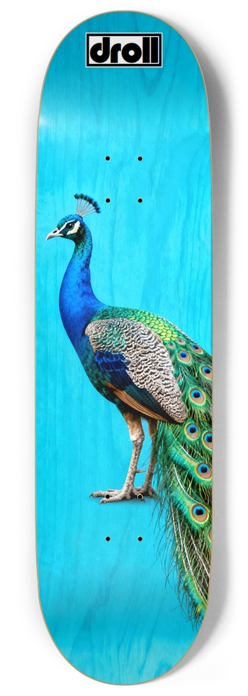 Peacock on Sky Blue Woodgrain