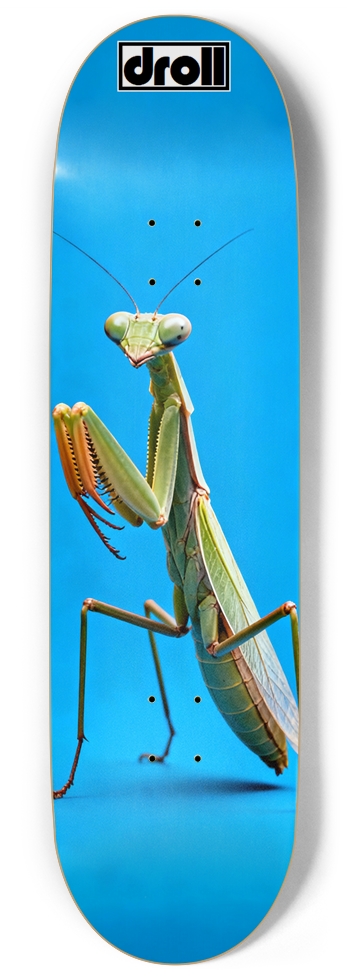 Praying Mantis Sky Blue