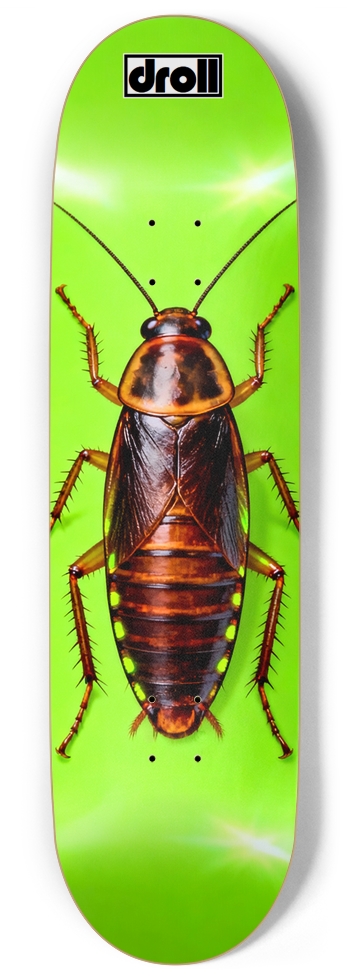 Cockroach on Neon Green