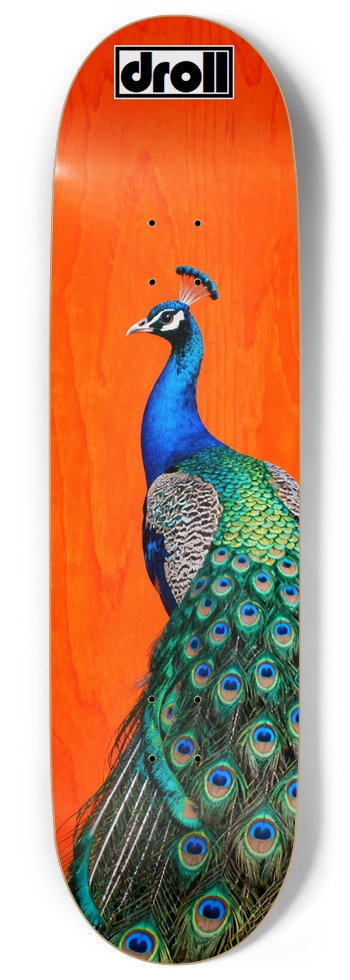 Peacock on Orange Woodgrain