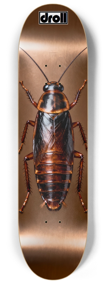 Cockroach on Bronze
