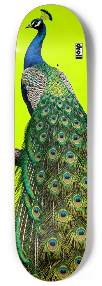 Peacock on Neon Yellow