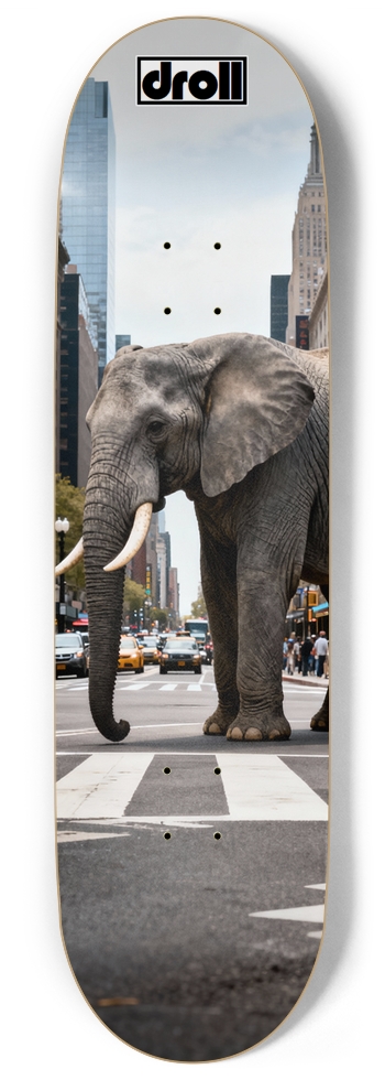 Elephant Intersection