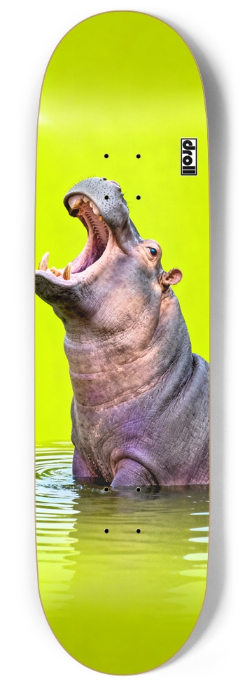 Hippo on Neon Yellow