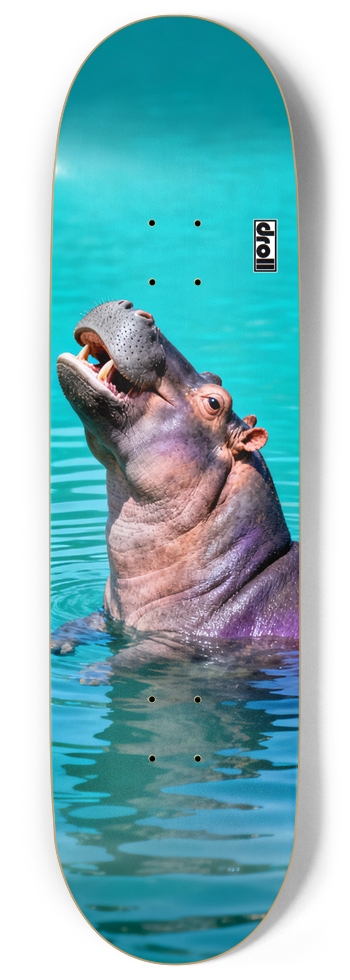 Hippo on Aquamarine