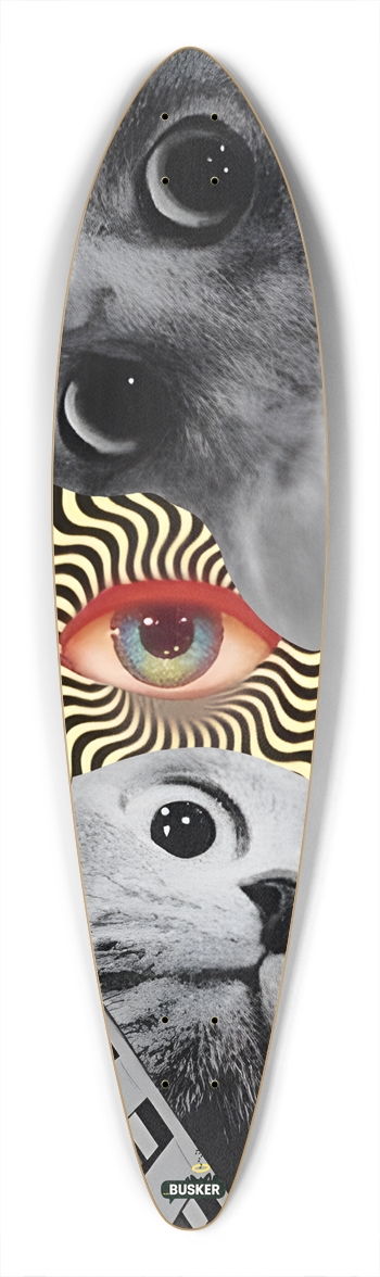 Eyes On You ...BUSKER Pintail Pintail Longboard