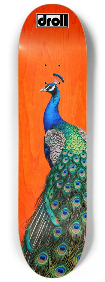 Peacock on Orange Woodgrain