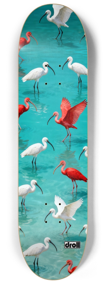 Ibis