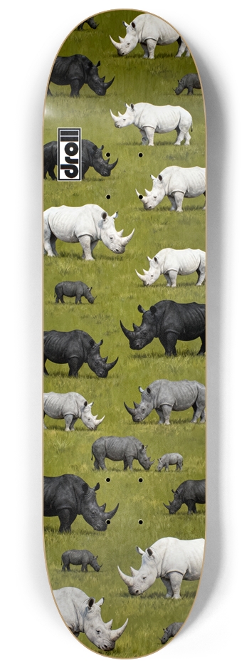 Rhinos in Meadow