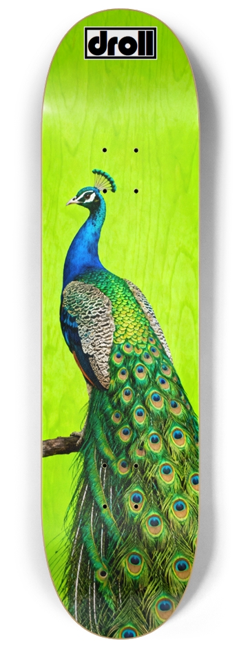 Peacock on Neon Green Woodgrain