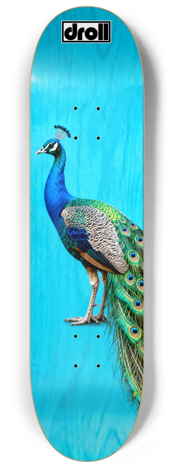 Peacock on Sky Blue Woodgrain