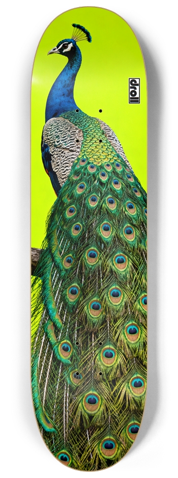 Peacock on Neon Yellow