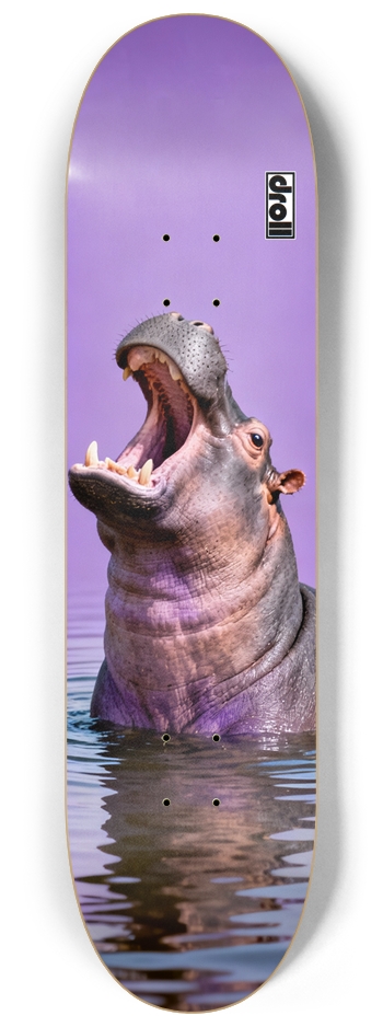 Hippo on Purple
