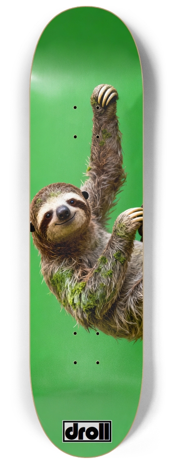 Three Toed Sloth on Kelly Green