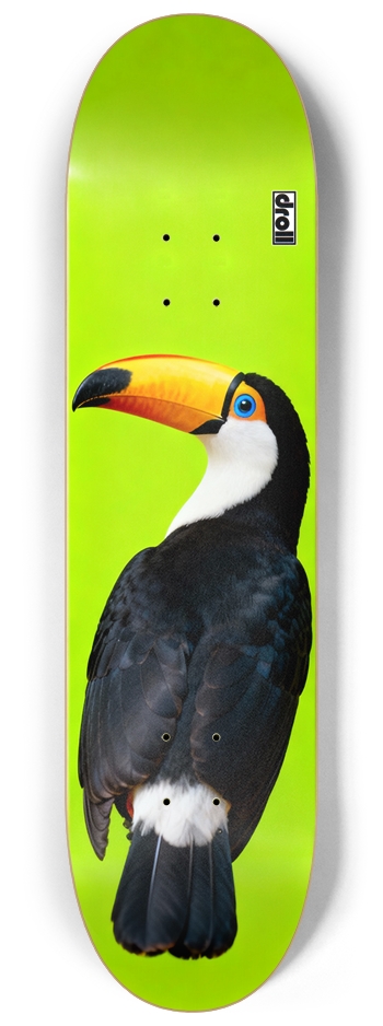 Toucan on Neon Green