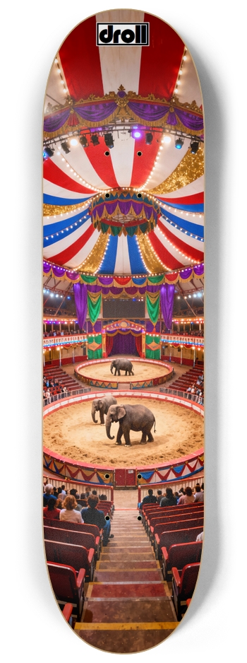 Circus