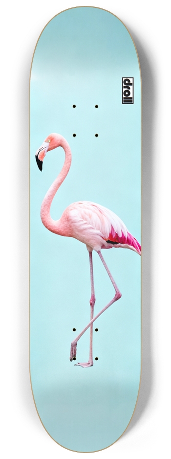 Flamingo on Powder Blue