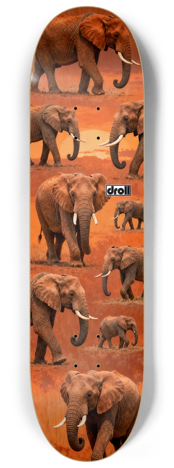 Elephants at Sunset