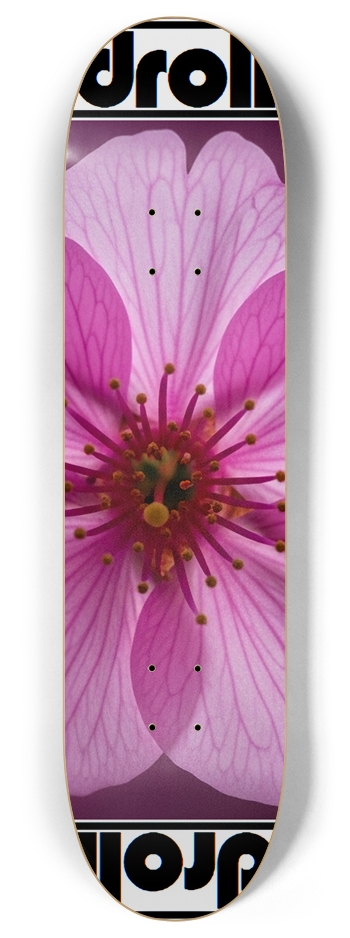 cherry blossom 8 Inch Skateboard Deck