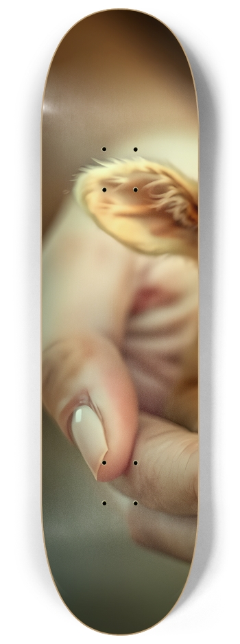 A Hundful of Joy 0001 #1 8-1/4 Skateboard Deck