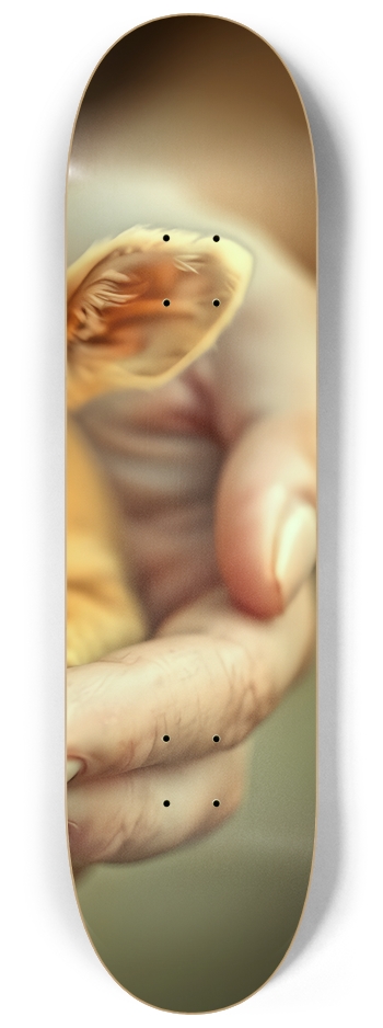 A Hundful of Joy 0001 #3 8-1/4 Skateboard Deck