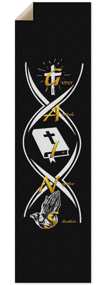 G.A.I.N.S. 9 x 33 Inch Griptape