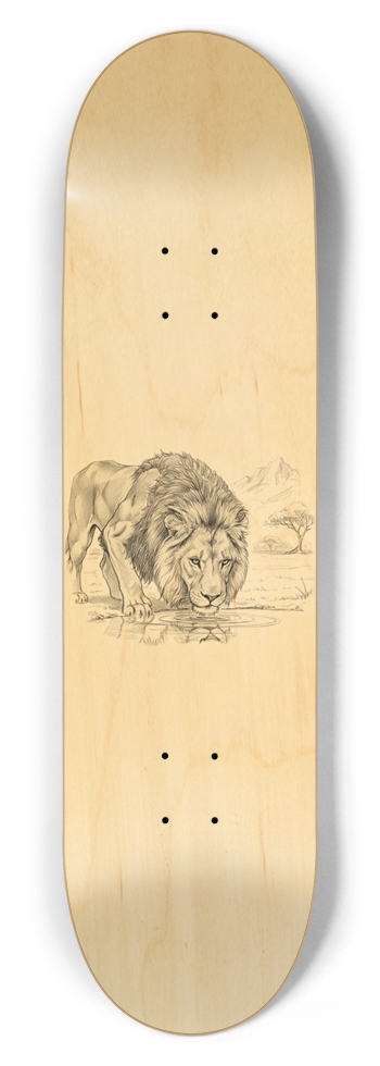 Lion Drinking Sketch - Natural