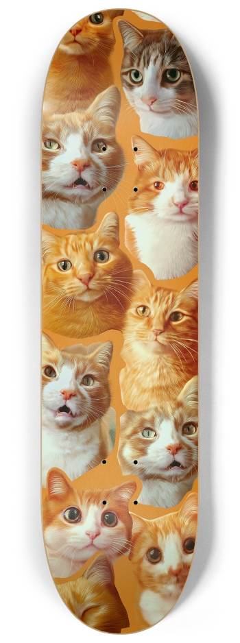 Orange cat meme custom Skateboard Series #3