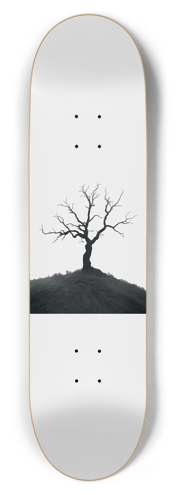 Deadlight 8-1/2 Skateboard Deck