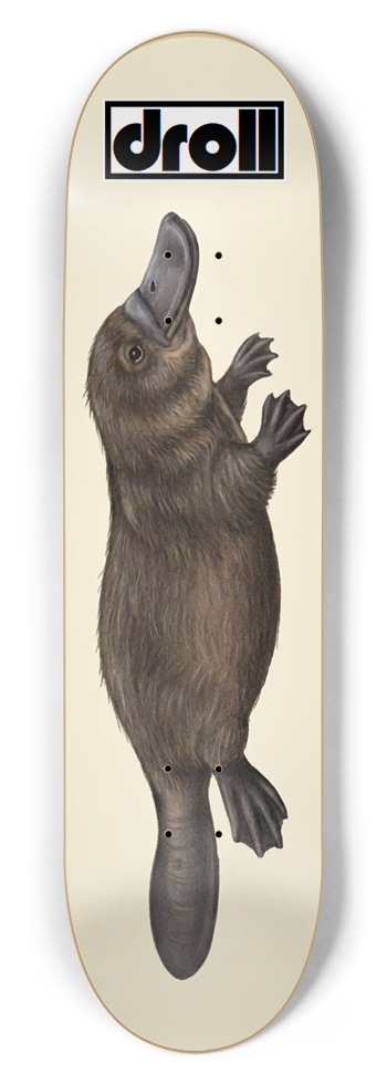 platypus on cream
