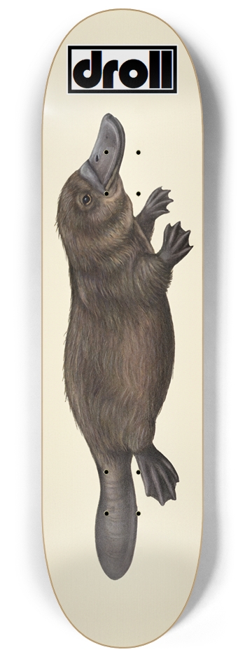 platypus on cream