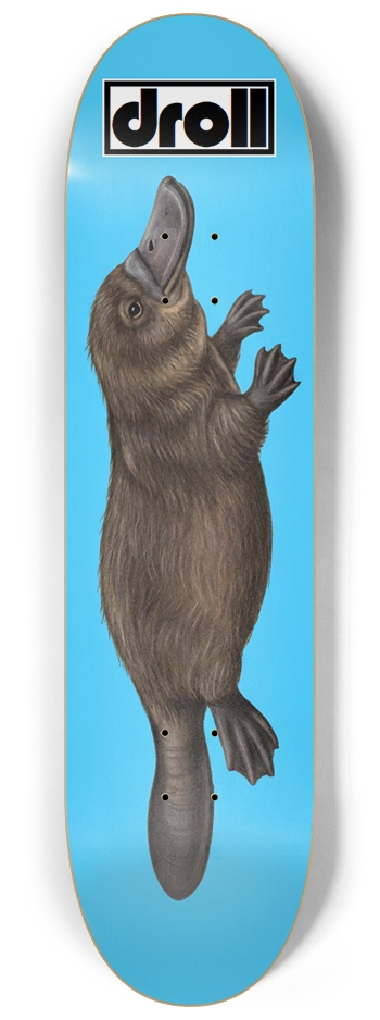 platypus on sky blue