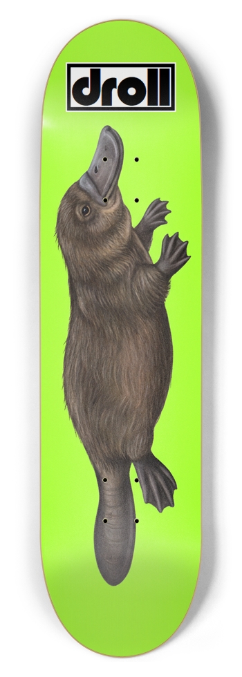 platypus on neon green