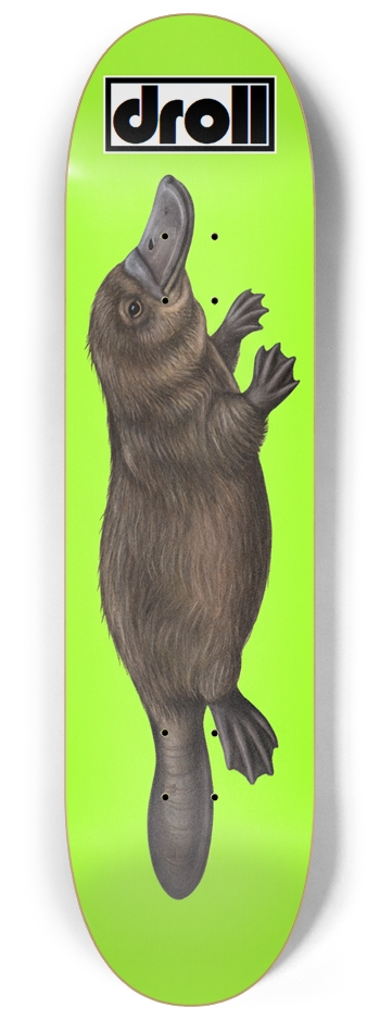 platypus on neon green
