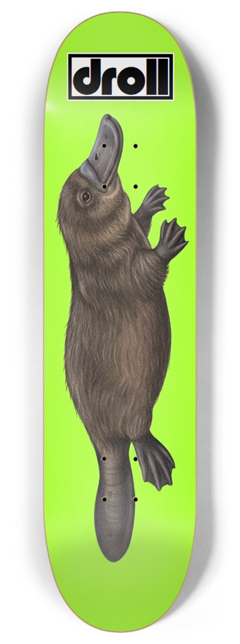 platypus on neon green