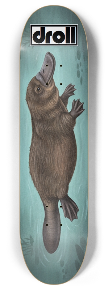 platypus on teal