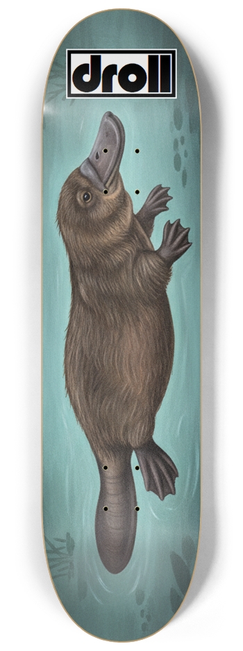 platypus on teal