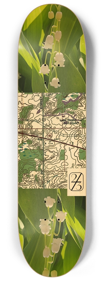 Tunnel 8-1/4 Skateboard Deck