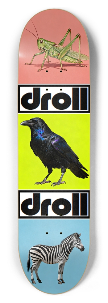 grasshopper, raven, zebra